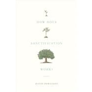 How Does Sanctification Work? by Powlison, David, 9781433556104