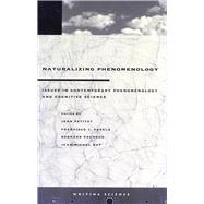 Naturalizing Phenomenology by Petitot, Jean, 9780804736107