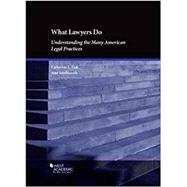 What Lawyers Do by Fisk, Catherine L.; Southworth, Ann, 9781642426113
