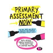Primary Assessment Now by Briggs, Mary; Woodfield, Angela; Swatton, Peter; Martin, Cynthia, 9781473916128