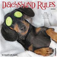 Dachshund Rules 2020 Calendar by Willow Creek Press, 9781549206139