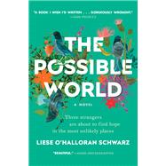 The Possible World A Novel by Schwarz, Liese O'Halloran, 9781501166150