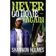 Never Go Home Again A Novel by Holmes, Shannon, 9780743496162
