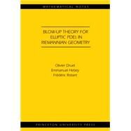 Blow-up Theory for Elliptic Pdes in Riemannian Geometry (Mn-45) by Druet, Olivier; Hebey, Emmanuel; Robert, Frederic, 9781400826162