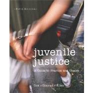 Juvenile Justice : A Guide to Practice and Theory by Cox, Steven M.; Conrad, John J.; Allen, Jennifer M., 9780697356178
