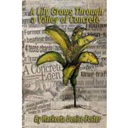 A Lily Grows Through a Valley of Concrete by Foster, Markeeta Denise; Williams, Donald; Smart, Deborah M., 9781450596190