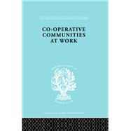 Co-Operative Communities at Work by Infield,Henrik F., 9780415176194