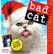 Bad Cat by Edgar, Jim, 9780761136194