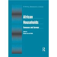 African Households: Censuses and Surveys: Censuses and Surveys by Walle,Etienne Van De, 9780765616197