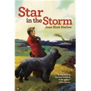 Star in the Storm by Harlow, Joan Hiatt, 9780689846212
