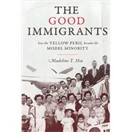 The Good Immigrants by Hsu, Madeline Y., 9780691176215