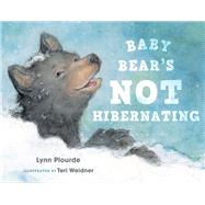 Baby Bear's Not Hibernating by Plourde, Lynn; Weidner, Teri, 9781608936229