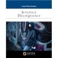 Juvenile Delinquency [Connected eBook] by Hansen, Laura Pinto, 9781543856248