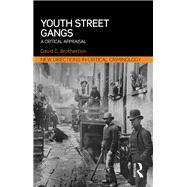 Youth Street Gangs: A critical appraisal by Brotherton; David C., 9780415856270