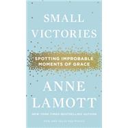 Small Victories Spotting Improbable Moments of Grace by Lamott, Anne, 9781594486296