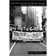 Community Activism and Feminist Politics: Organizing Across Race, Class, and Gender by Naples,Nancy;Naples,Nancy, 9780415916301