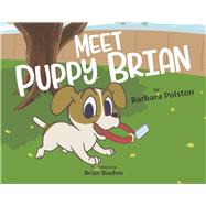 Meet Puppy Brian by Polston, Barbara; Boehm, Brian, 9781667866307