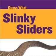 Slinky Sliders by Calhoun, Kelly, 9781633626317