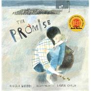 The Promise by Davies, Nicola; Carlin, Laura, 9780763666330
