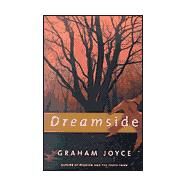 Dreamside by Graham Joyce, 9780312866334