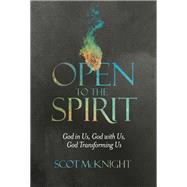 Open to the Spirit God in Us, God with Us, God Transforming Us by McKnight, Scot; Ferguson, Dave, 9781601426345