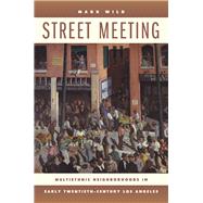 Street Meeting by Wild, Mark, 9780520256354