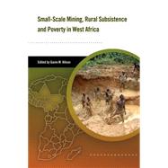Small-scale Mining, Rural Subsistence and Poverty in West Africa by Hilson, Gavin M., 9781853396359
