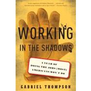 Working in the Shadows by Thompson, Gabriel, 9781568586380