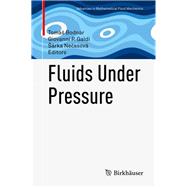Fluids Under Pressure by Bodnr, Tom; Galdi, Giovanni P.; Necasov, rka, 9783030396381