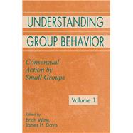 Understanding Group Behavior: Volume 1: Consensual Action By Small Groups; Volume 2: Small Group Processes and Interpersonal Relations by Witte, Erich H.; Davis, James H., 9780805816402