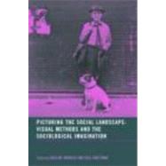 Picturing the Social Landscape: Visual Methods and the Sociological Imagination by Knowles,Caroline, 9780415306409