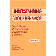 Understanding Group Behavior by Witte, Erich H.; Davis, James H., 9780805816419