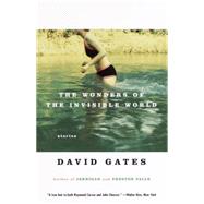 The Wonders of the Invisible World by GATES, DAVID, 9780679756446