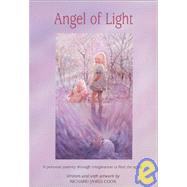 Angel of Light : A Personal Journey Through Imagination to Find the Spirit by Cook, Richard James, 9780965916448