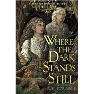 Where the Dark Stands Still by Poranek, A. B., 9781665936484