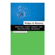 Bridges to Recovery Addiction, Family Therapy, and Multicultural Treatment by Krestan, Jo-ann, 9780684846491