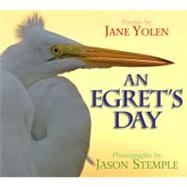 An Egret's Day by Yolen, Jane; Stemple, Jason, 9781590786505