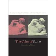 The Color of Stone by Nelson, Charmaine A., 9780816646517