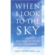 When I Look to the Sky A Collection of Quotes, Poems, and Prayers for Loss, Grief, and Healing by Roll, Sally, 9781578266517