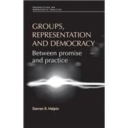 Groups, Representation and Democracy Between Promise and Practice by Halpin, Darren R., 9780719076527