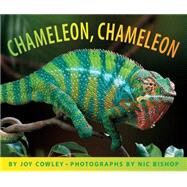Chameleon Chameleon by Cowley, Joy; Bishop, Nic, 9780439666534