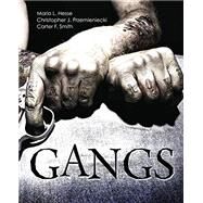 Gangs by Hesse, Mario L.; Przemieniecki, Christopher J.; Smith, Carter F., 9781465286536