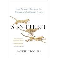 Sentient How Animals Illuminate the Wonder of Our Human Senses by Higgins, Jackie, 9781982156558