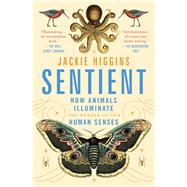 Sentient How Animals Illuminate the Wonder of Our Human Senses by Higgins, Jackie, 9781982156565