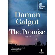 The Promise by Damon Galgut, 9781609456580