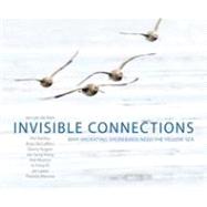 Invisible Connections by Kam, Jan van de; Battley, Phil; Maccaffery, Brian; Rogers, Danny; Lewis, Jan, 9780643096592
