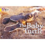 The Baby Turtle by Belcher, Andy; Belcher, Angie, 9780007186594
