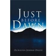 Just Before Dawn by Opaleye, Oluwatoyin Jedidiah, 9781594676598