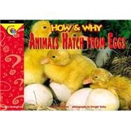 How and Why Animals Hatch from Eggs by Pascoe, Elaine; Kupperstein, Joel; Kuhn, Dwight, 9781574716603