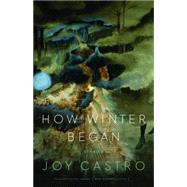 How Winter Began by Castro, Joy, 9780803276604